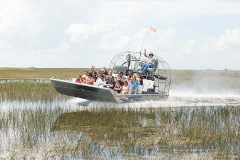 Florida Everglades flygbåt äventyr och vilda djur