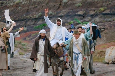Palm søndag i Jerusalem: Masse ved Bethpage og Via Dolorosa Procession