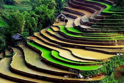 Sapa Hard Trekking de ônibus por 2 dias