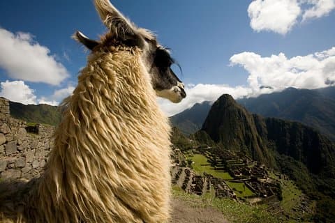 6-Day Cusco and Machu Picchu Tour: Sacred Valley & Maras Moray