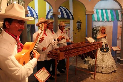 8 Attractive: Aquarium And Museums Included (in Veracruz)