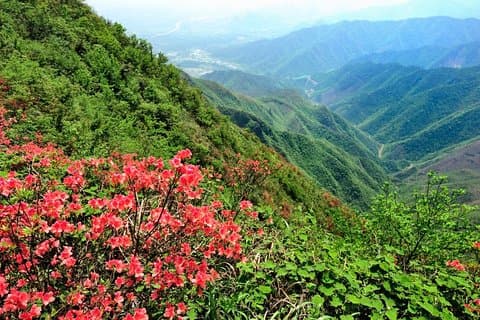 Tour privato: Yao Mountain and Tea Plantation di Guilin