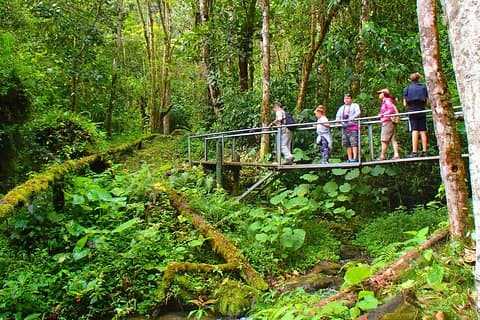 Cloud Forest Hike 8: 30am Pipeline Trail (Minnst 2 personer kreves)