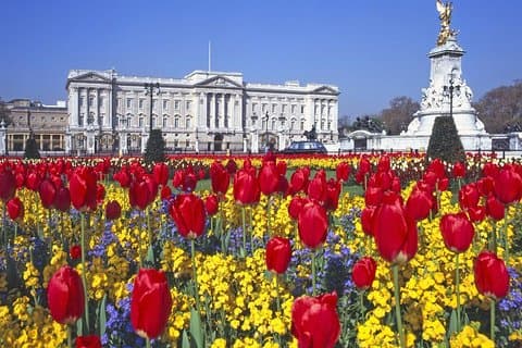 Visita autoguiada al palacio de Buckingham y al castillo de Windsor con autobús