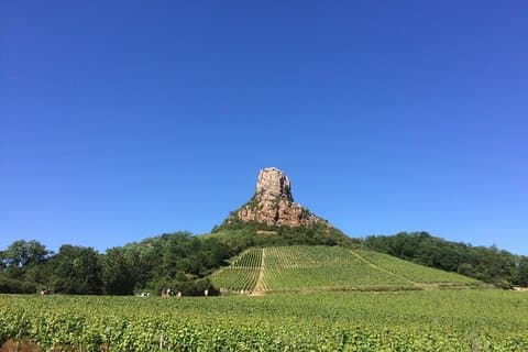 Southern Burgundy Wine Tour - Full Day Shared tour from Lyon