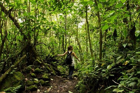 Chicaque Nationaal Park