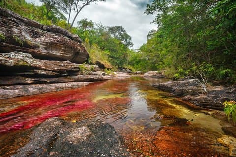 Voyage de 3 jours à Caño Cristales au départ de Bogota