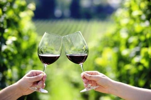 Halbinsel Peljesac Tagesausflug ab Dubrovnik: Weinproben und Ausflug nach Ston
