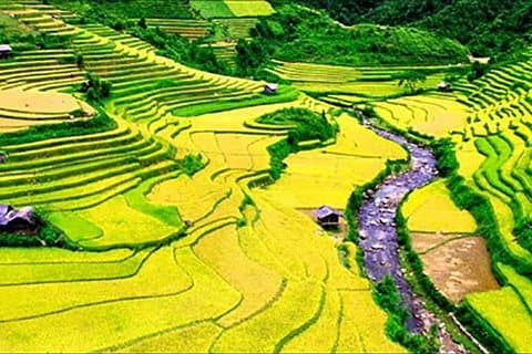 1 dag Privat tur Sapa Off The Beaten Path trekking starter fra Sapa