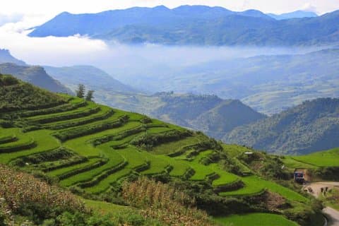 1 journée Visite privée Sapa trekking Y Linh Ho - Lao Chai - Ta Van (départ de Sapa)