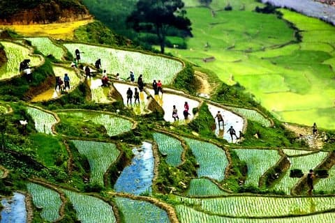 Sapa Trek Group Tour 3days med buss från Hanoi med 1 natt hotell och 1 natt hemvistelse