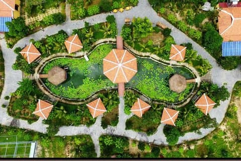 Cours de cuisine Tra Que le matin départ de Hoi An