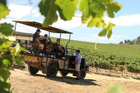 Visite unique des vignobles de Stellenbosch avec route des vins en 4x4 en option