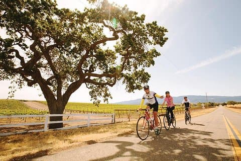 Visite de la ferme viticole à la table en vélo avec déjeuner