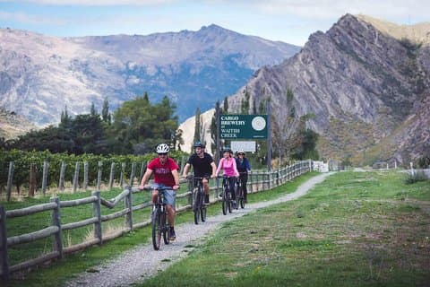 Bike The Wineries (1/2 dag) - Hurtig pedal til Pinot