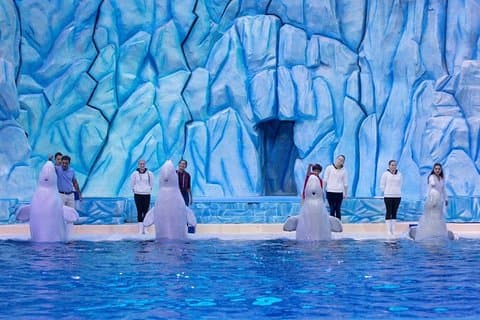 E-Ticket: Zhuhai Chimelong Ocean Kingdom, Circus & Penguin Hotel 1-night Coupon