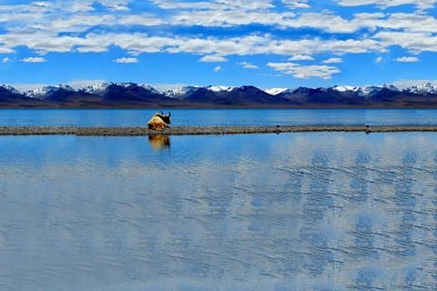 5-Night Tibet: Lhasa and Namtso Lake with Travel Permit