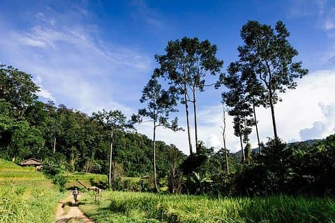 Rural Explorer Mountainbike Tour Chiang Mai