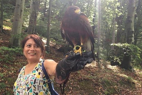 Excursão de Falcoaria ao Parque Natural de Medvednica a partir de Zagreb