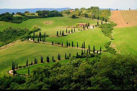 Privérondleiding Siena en San Gimignano met wijnproeverij vanuit Rome
