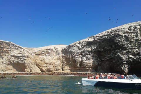 Ballestas Islands, Winery & Nazca Lines Express tur fra Lima