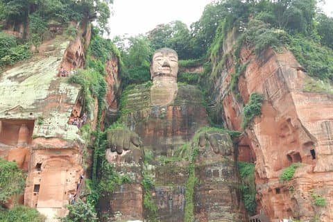 成都パンダ基地と楽山大仏のハイライトツアー