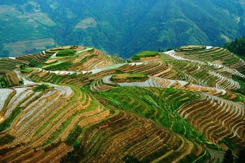 All-Inclusive Private Day Tour von Longji Reisterrassen und Minority Village