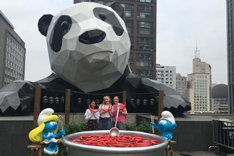 Chengdu Private Tour of Panda Experience