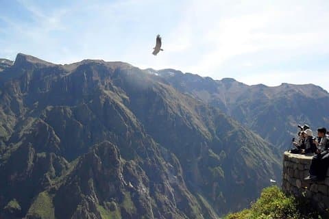 Tour Colca Canyon 2d -1n Fra Arequipa, og avslutter i Puno