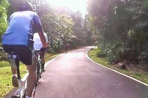 Tour privado de medio día en el jardín botánico nacional desde Kuala Lumpur