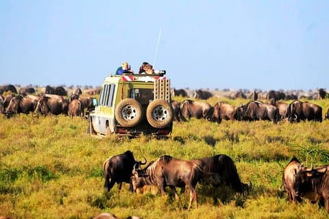 6-dagers Tanzania Camping Safari: Lake Manyara, Serengeti, Ngorongoro Cater og Tarangire National Park fra Arusha