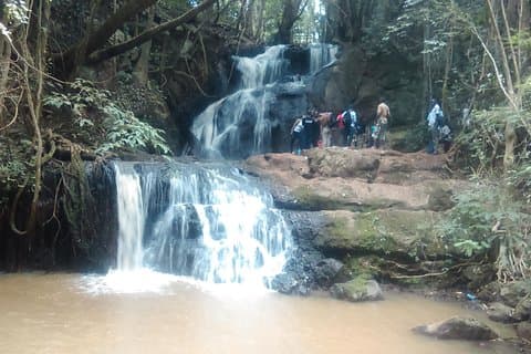 Nairobi Day Tour naar Karura Forest Hike, Trail Bike & Nature Walk
