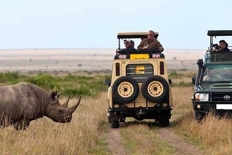 14 jours au Kenya et en Tanzanie Safari Camping depuis Nairobi