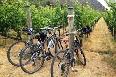 Tour di mezza giornata con guida autonoma e tour in bicicletta da Arrowtown