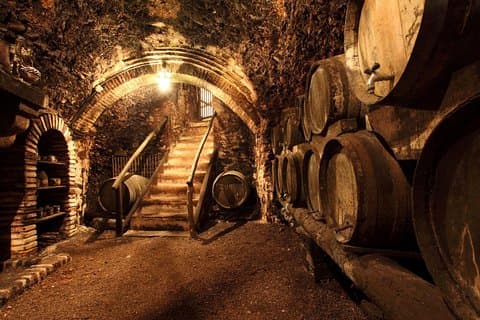 Wine and Cheese Tastings Southern Tuscany ShoreExcursion from Civitavecchia Port