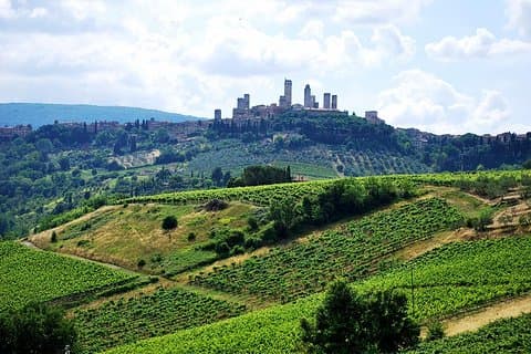 San Gimignano and Chianti Classico Wine and Food PRIVATE TOUR from SIENA