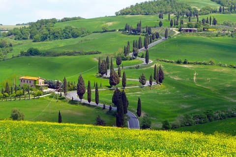 Pienza, Montalcino, Brunello Wine and Pecorino Cheese PRIVATE TOUR from FLORENCE