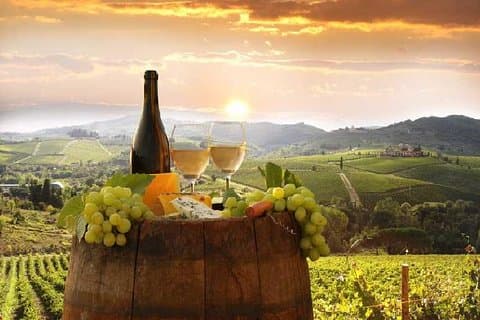 Excursão privada de vinho Chianti partindo de Florença