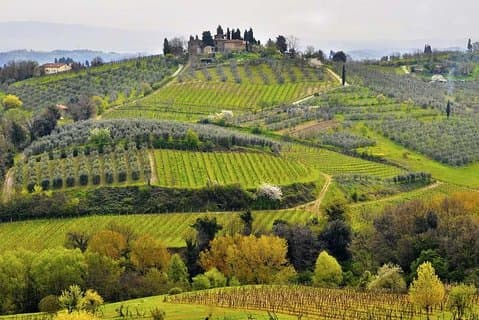 Privat tur smag af Toscana: Pisa, Siena og Chianti