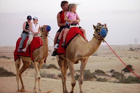 Abu Dhabi Morning Desert safari with Camel ride & Sand boarding