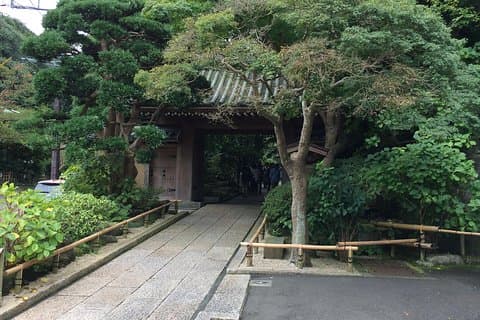 Kamakura-wandeltocht met lokale gids inclusief de Hokokuji-tempel