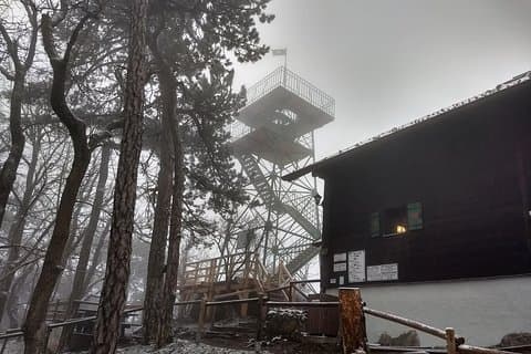 Excursión privada de 3 horas por la montaña Parapluie con vistas a Viena