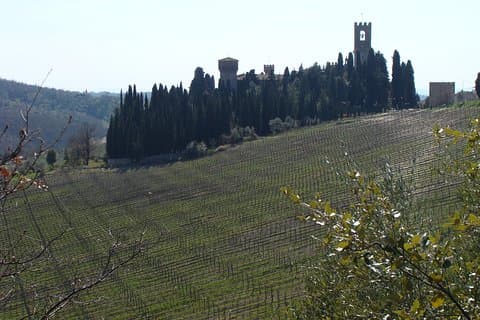 Dagtrip naar Florence naar Chianti en San Gimignano