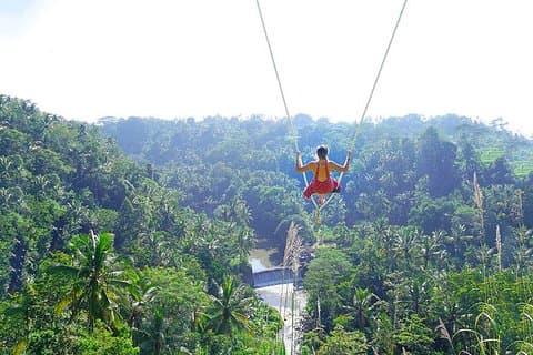 Bali Jungle Swing und Wildwasser Rafting All Inclusive