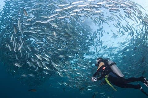Tulamben Diving Tour Shipwreck USS Bali