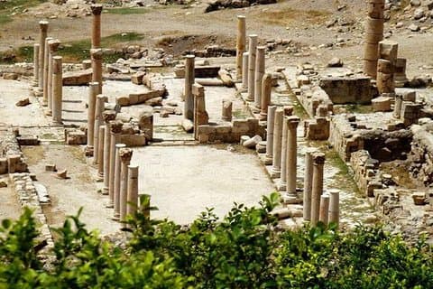 Excursão privada a Jerash, Ajloun e Pella saindo de Amã