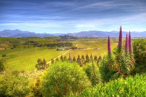 Full-Day Wine Gourmet og Scenic Delight Tour av Marlborough fra Blenheim