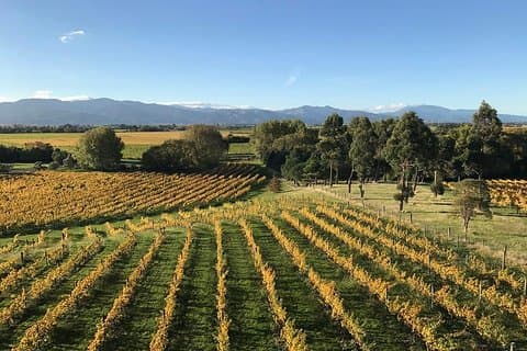 Winter Wine Gourmet and Scenic Pleasures of Marlborough: Group Tour