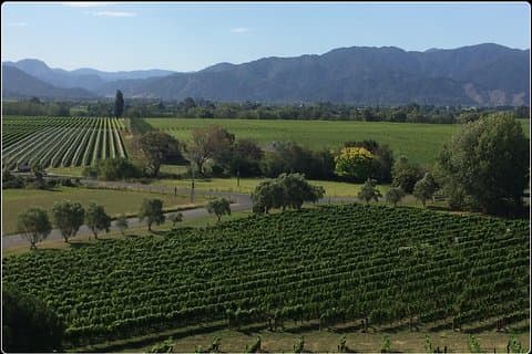 Private Wine Gourmet and Scenic Delights Tour from Picton