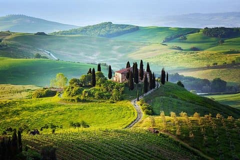 Half Day Chianti Wine Tour med privat luksus varevogn